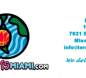A promotional image for terra flowers miami featuring a stylized, colorful floral design on the left, with contact information and delivery details on the right.