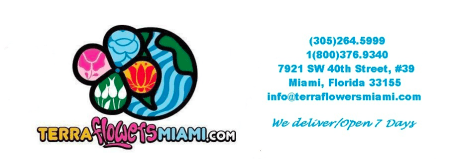 A promotional image for terra flowers miami featuring a stylized, colorful floral design on the left, with contact information and delivery details on the right.