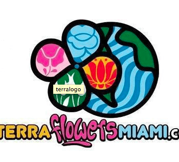 Colorful logo featuring a stylized turtle with earth and floral patterns on its shell, above the text "terra flowers miami.com.