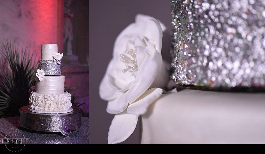 MIAMI WEDDING PHOTOGRAPHY-WEDDING PHOTOGRAPHER-VIZCAYA-BRIDE-GROOM-ENGAGED-62